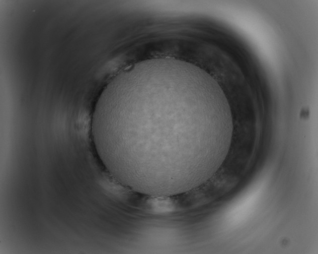 X0000103930767200809261703