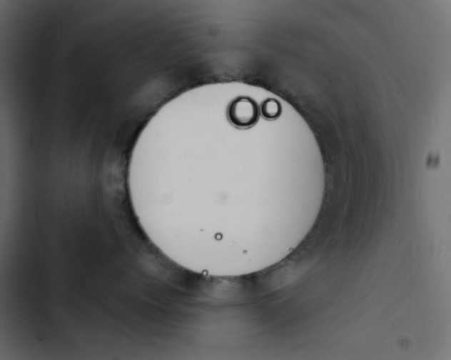 X0000103930768200809261703