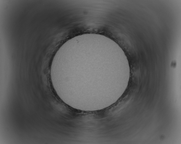 X0000103930769200809261703