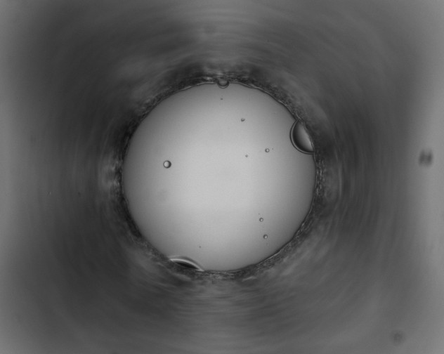 X0000103930770200809261703