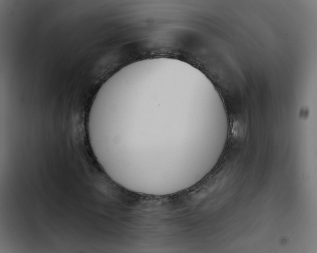 X0000103930771200809261703