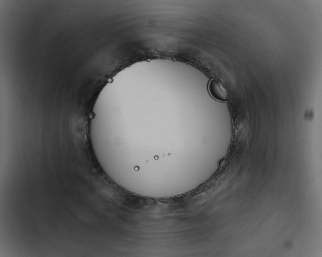 X0000103930772200809261703
