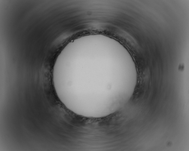 X0000103930773200809261703