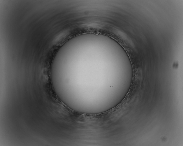 X0000103930774200809261703