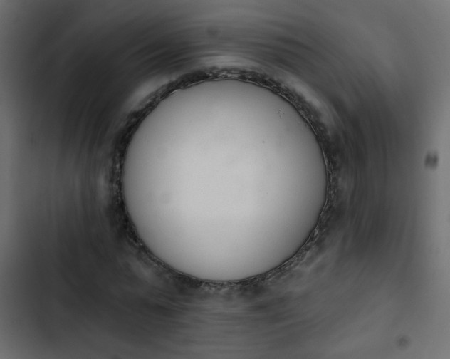 X0000103930775200809261703