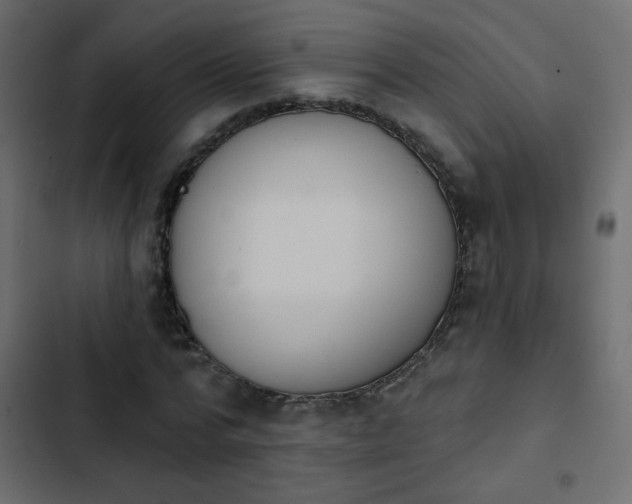 X0000103930776200809261703