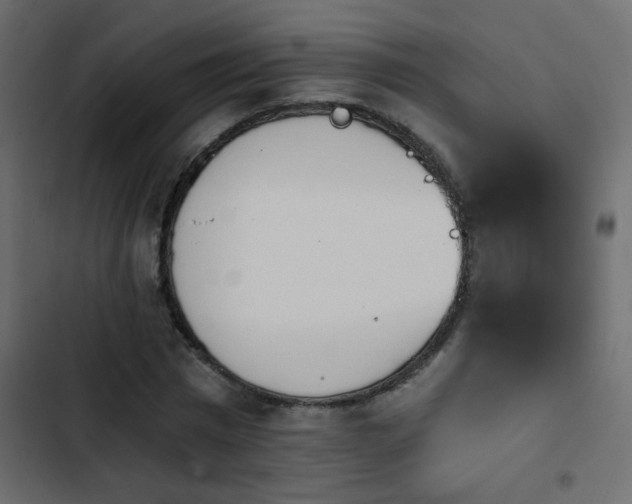 X0000103930777200809261703