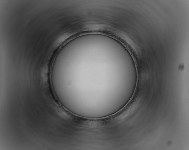 X0000103930778200809261703