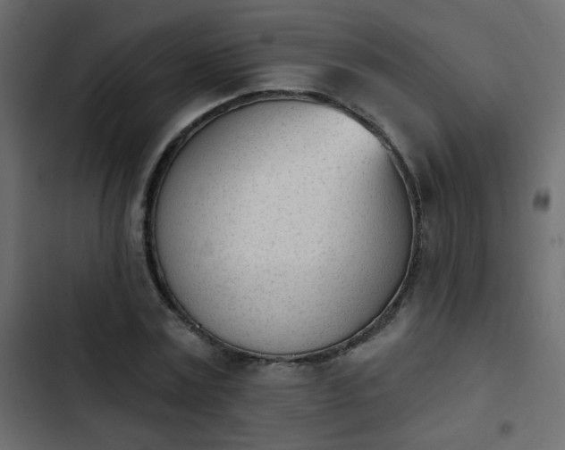 X0000103930779200809261703