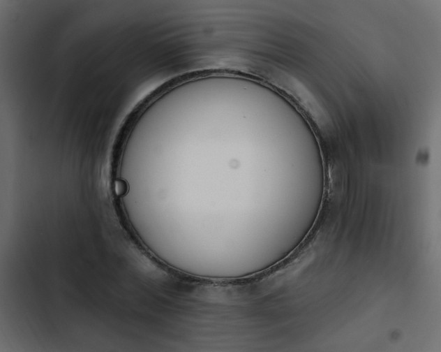 X0000103930780200809261702