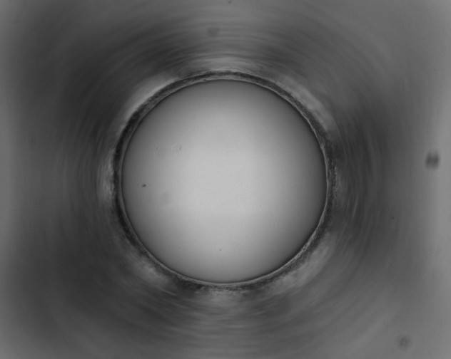 X0000103930782200809261702