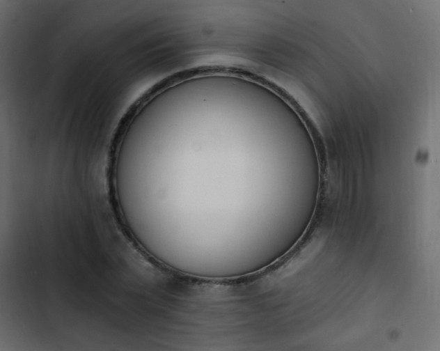 X0000103930783200809261702