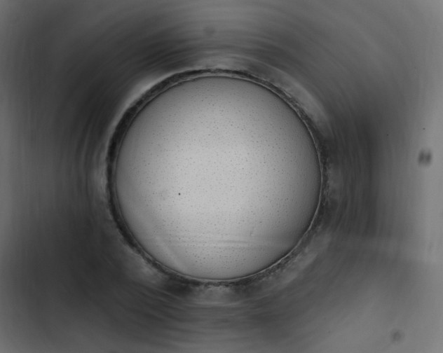 X0000103930784200809261702