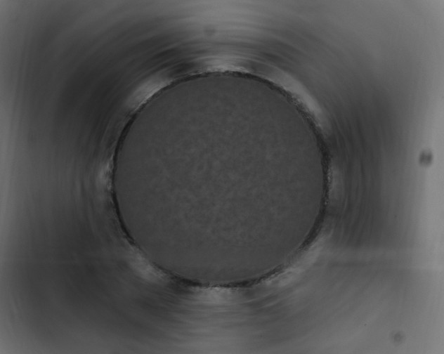 X0000103930785200809261702