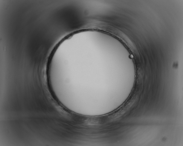 X0000103930788200809261702