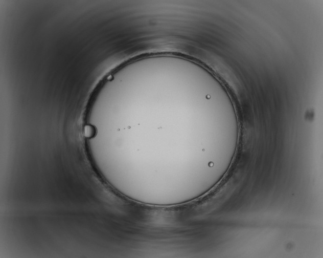 X0000103930789200809261702