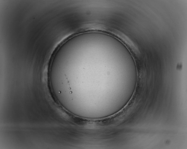 X0000103930790200809261702