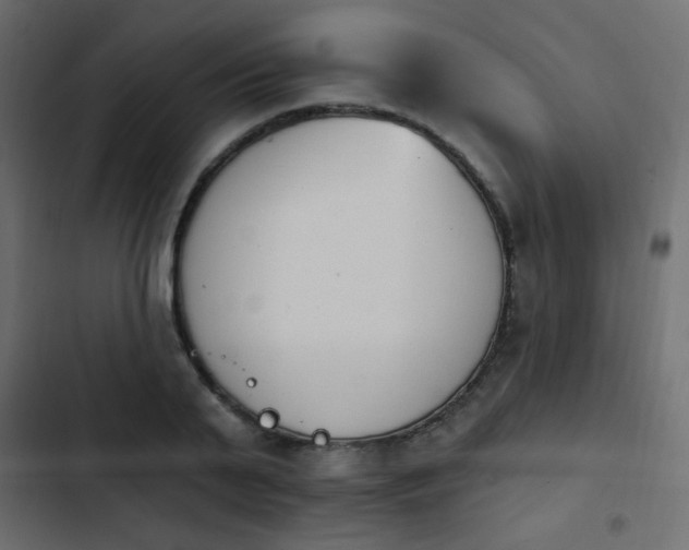 X0000103930791200809261702