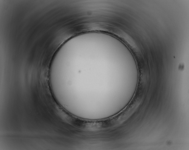 X0000103930793200809261702
