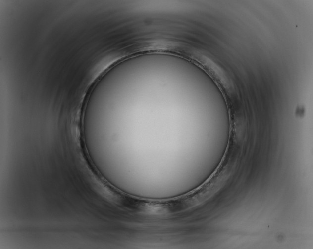 X0000103930794200809261702