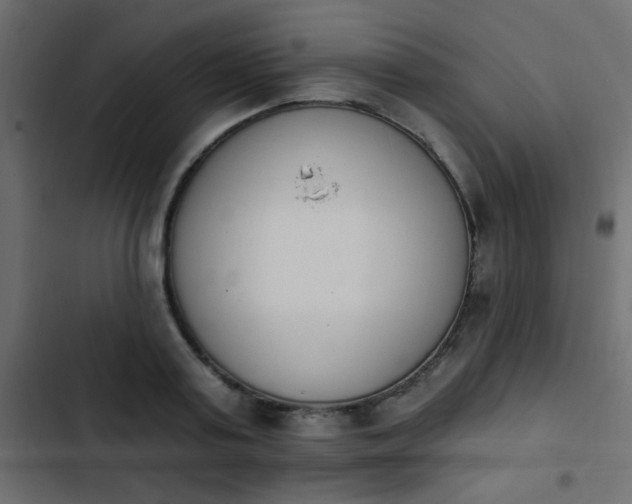 X0000103930795200809261702