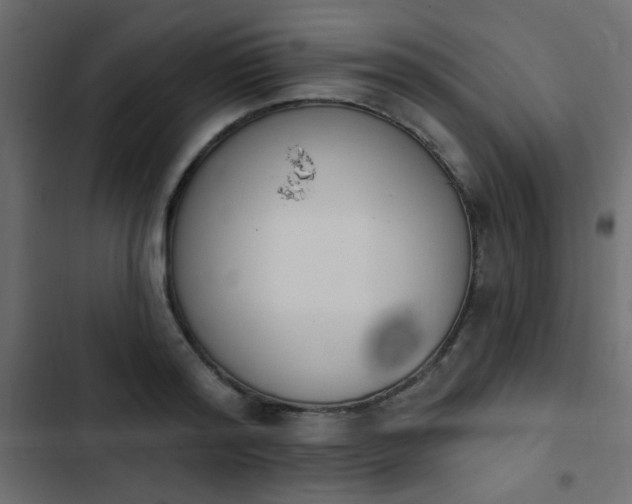 X0000103930796200809261702