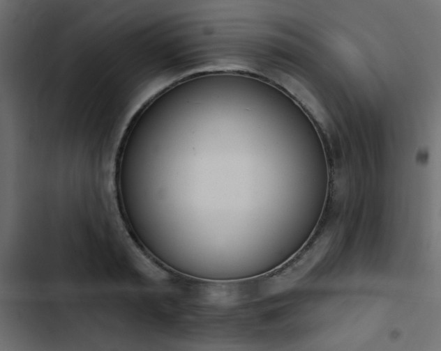 X0000103930797200809261702