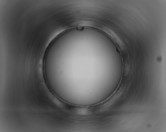 X0000103930798200809261702