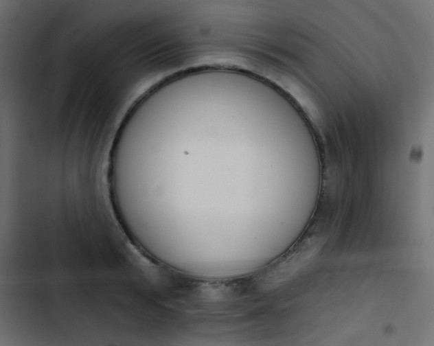 X0000103930799200809261702