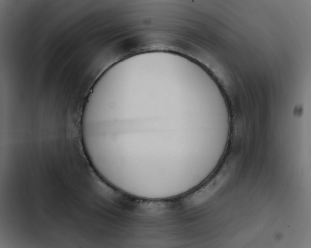 X0000103930801200809261702