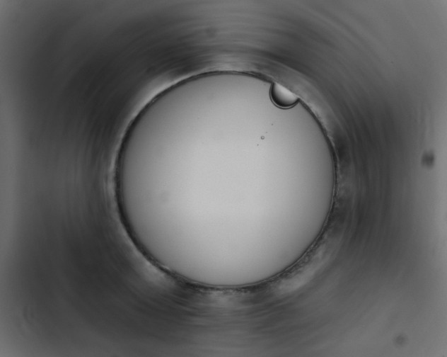X0000103930803200809261702