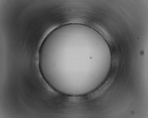X0000103930804200809261702