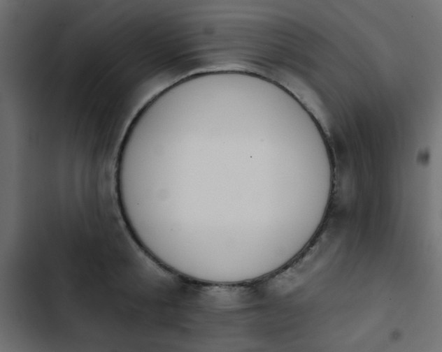 X0000103930805200809261702