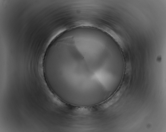 X0000103930806200809261702