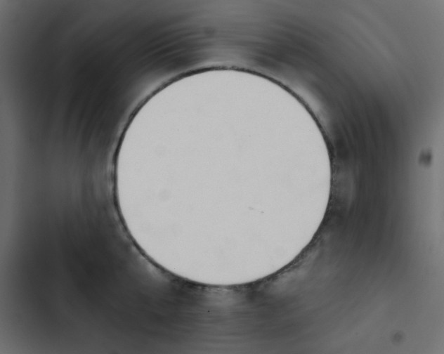 X0000103930807200809261702