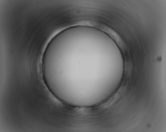 X0000103930808200809261702
