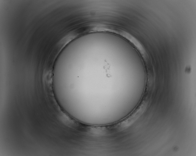 X0000103930809200809261702