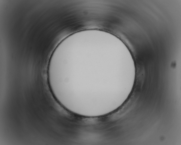 X0000103930810200809261702