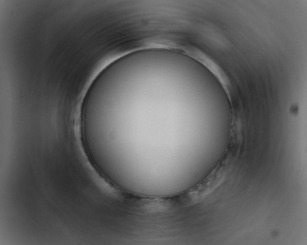 X0000103930811200809261702