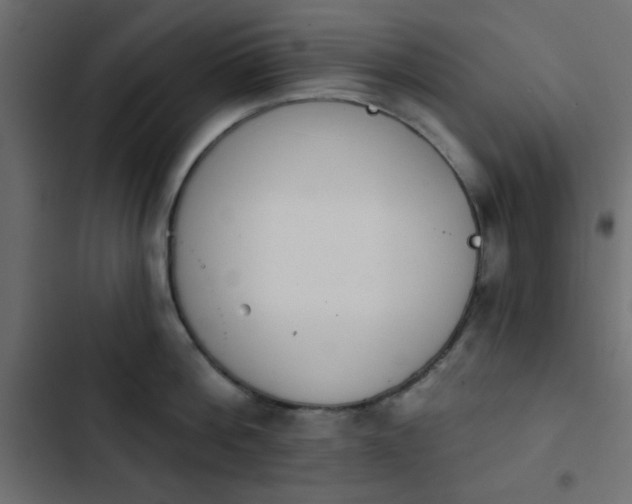 X0000103930812200809261702