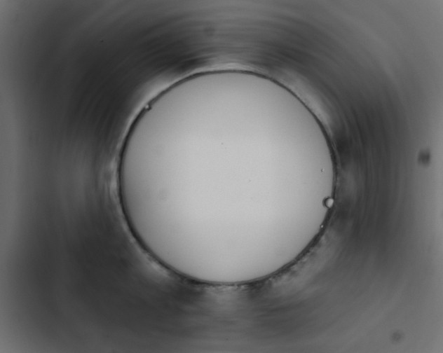 X0000103930813200809261702