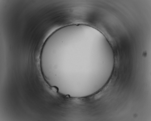 X0000103930814200809261702