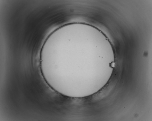 X0000103930815200809261702