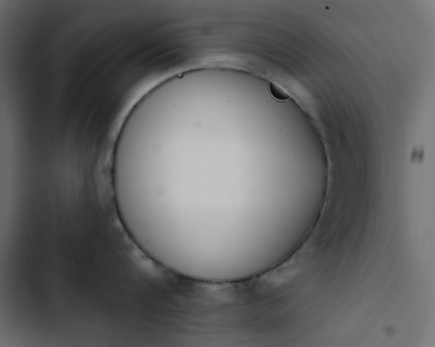 X0000103930816200809261702