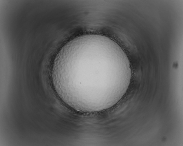 X0000103930817200809261701