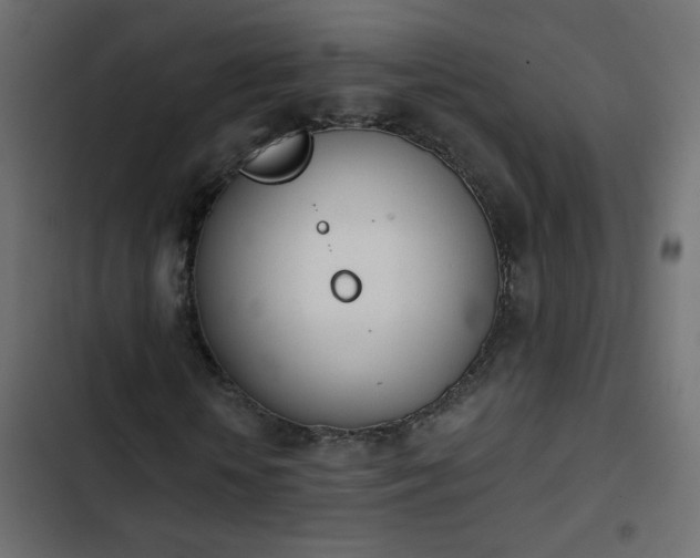 X0000103930818200809261701