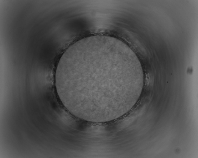 X0000103930820200809261701