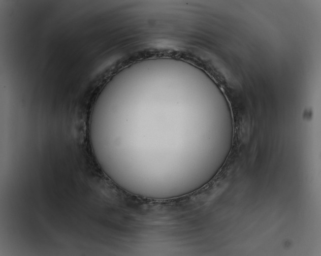 X0000103930821200809261701