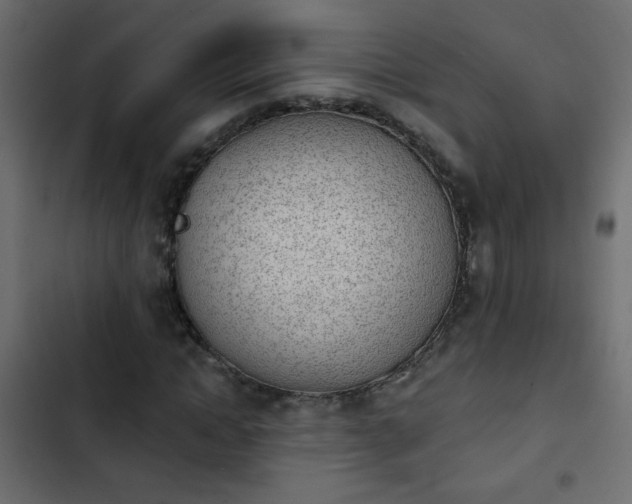 X0000103930822200809261701