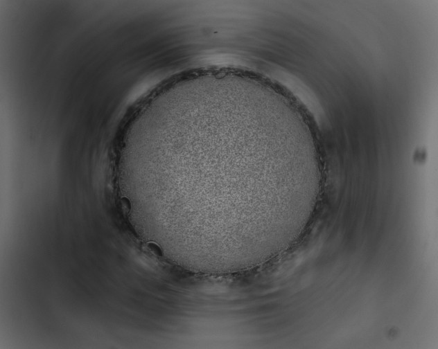 X0000103930823200809261701
